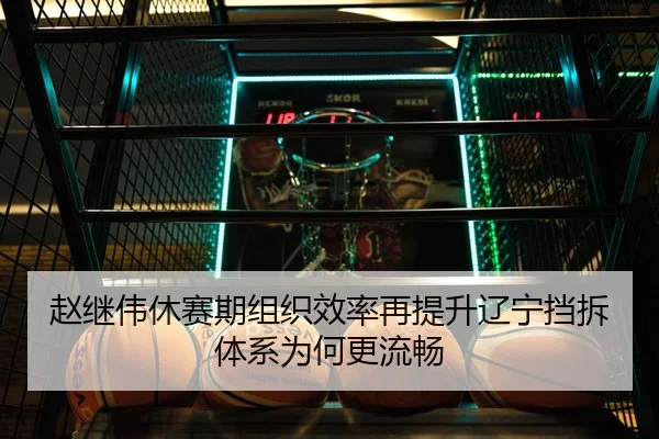 赵继伟休赛期组织效率再提升辽宁挡拆体系为何更流畅
