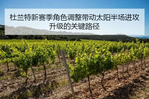 杜兰特新赛季角色调整带动太阳半场进攻升级的关键路径
